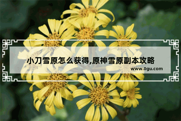 小刀雪原怎么获得,原神雪原副本攻略