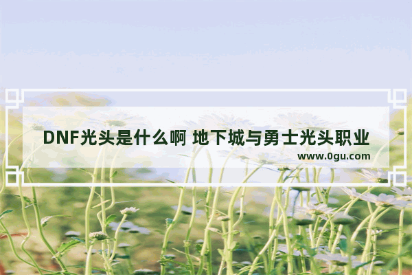 DNF光头是什么啊 地下城与勇士光头职业选择