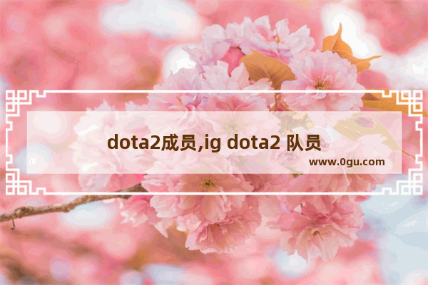 dota2成员,ig dota2 队员