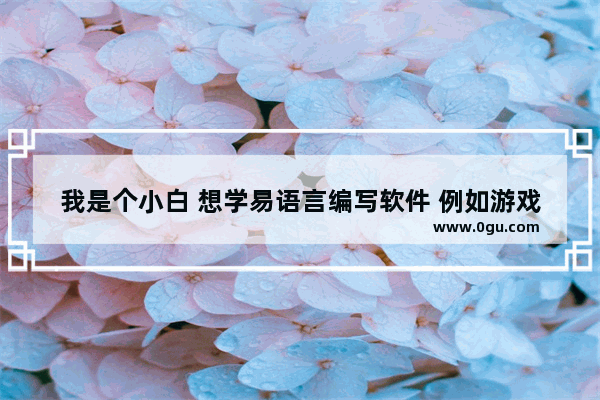 我是个小白 想学易语言编写软件 例如游戏外挂等。学会要多久? 易语言难不难啊_易语言怎么样