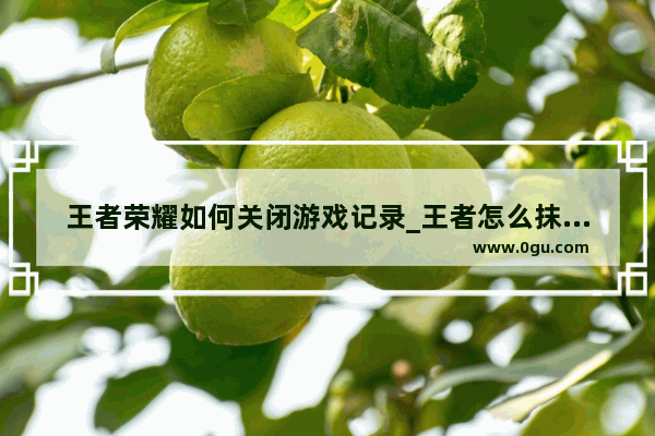 王者荣耀如何关闭游戏记录_王者怎么抹除战绩
