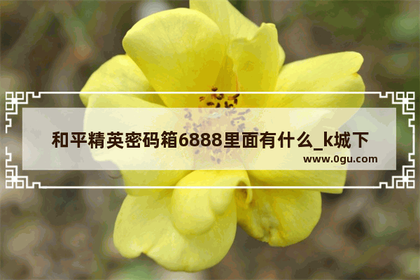 和平精英密码箱6888里面有什么_k城下城区密室密码是多少