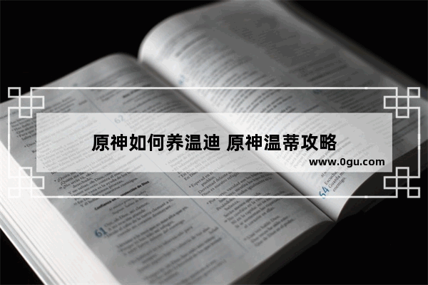 原神如何养温迪 原神温蒂攻略