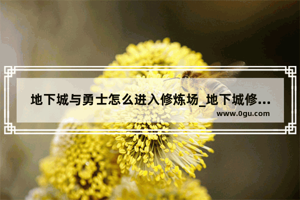 地下城与勇士怎么进入修炼场_地下城修炼场怎么开