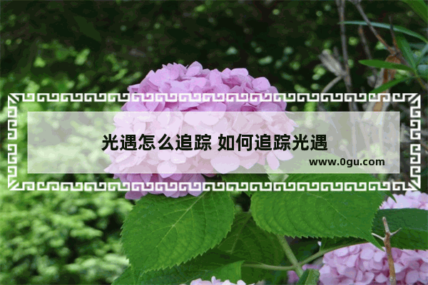光遇怎么追踪 如何追踪光遇