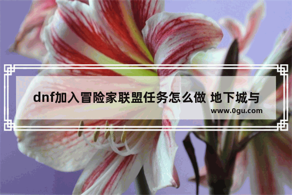 dnf加入冒险家联盟任务怎么做 地下城与勇士杰尔巴岛