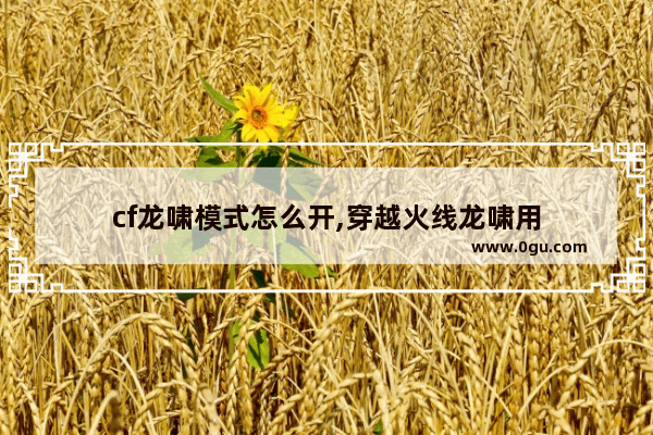 cf龙啸模式怎么开,穿越火线龙啸用