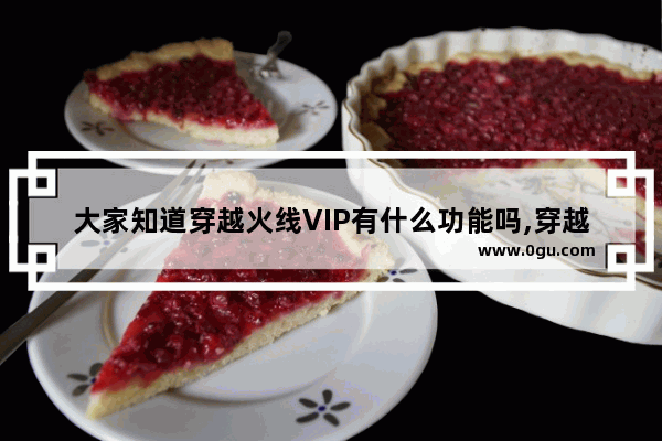 大家知道穿越火线VIP有什么功能吗,穿越火线vip7