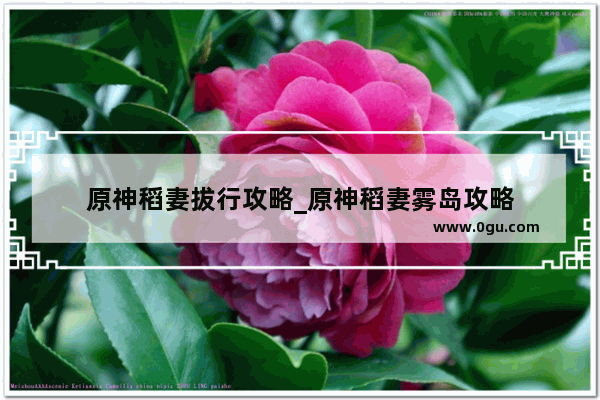原神稻妻拔行攻略_原神稻妻雾岛攻略