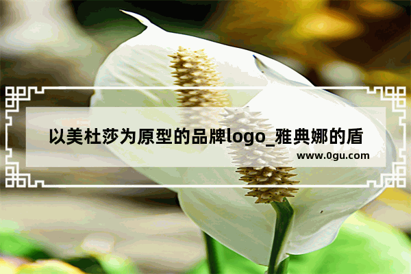 以美杜莎为原型的品牌logo_雅典娜的盾牌为什么有美杜莎