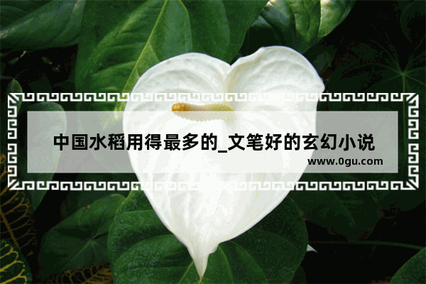 中国水稻用得最多的_文笔好的玄幻小说
