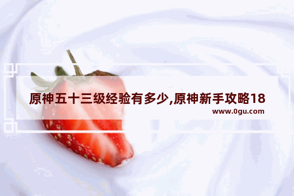 原神五十三级经验有多少,原神新手攻略188