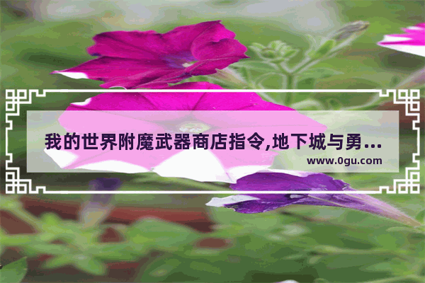 我的世界附魔武器商店指令,地下城与勇士武器附魔商店