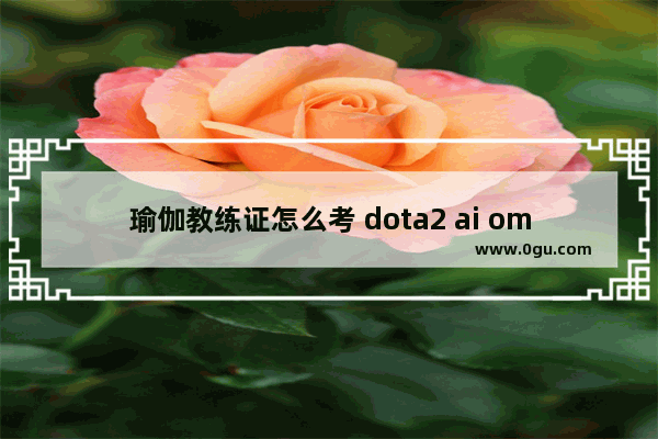 瑜伽教练证怎么考 dota2 ai omg