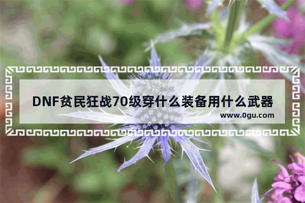 DNF贫民狂战70级穿什么装备用什么武器饰品力量到1000,dota2辉耀小狗