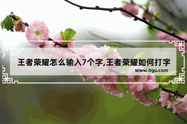 王者荣耀怎么输入7个字,王者荣耀如何打字