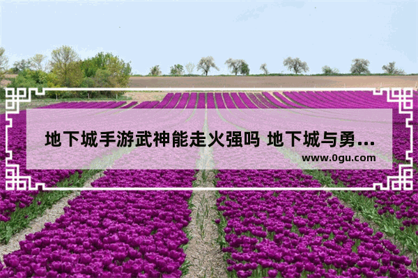 地下城手游武神能走火强吗 地下城与勇士手游散打职业