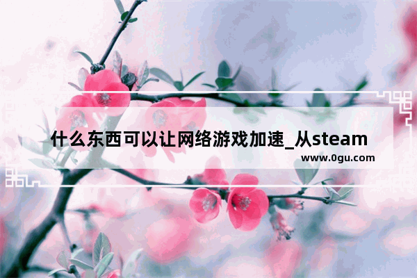 什么东西可以让网络游戏加速_从steam进dota2怎么改成国服