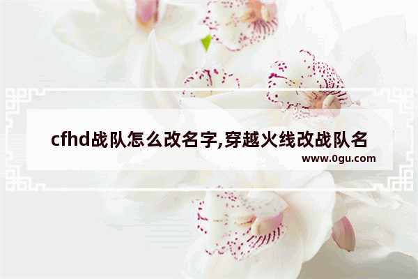 cfhd战队怎么改名字,穿越火线改战队名
