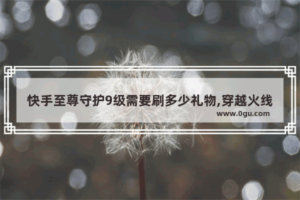 快手至尊守护9级需要刷多少礼物,穿越火线++等级