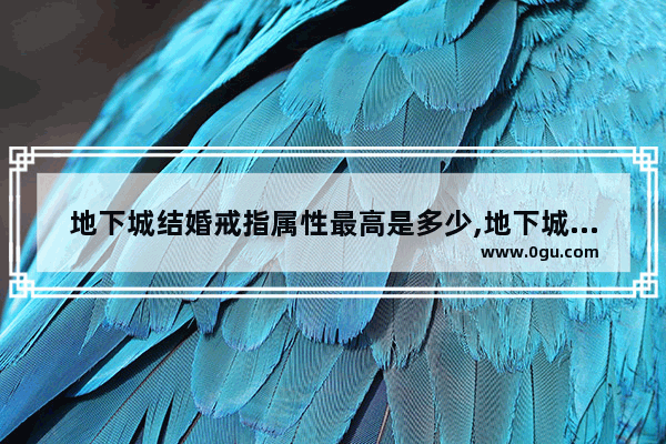 地下城结婚戒指属性最高是多少,地下城与勇士暴击率最高