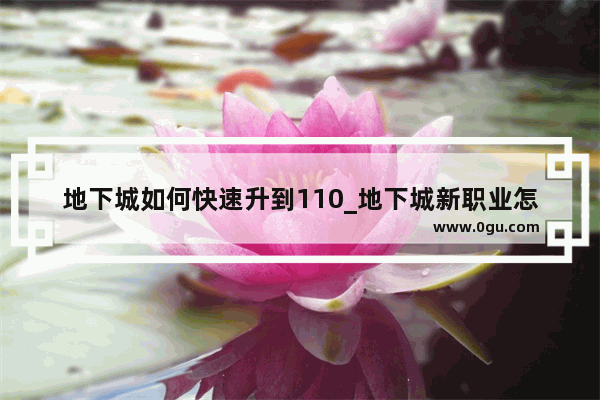 地下城如何快速升到110_地下城新职业怎么快速满级