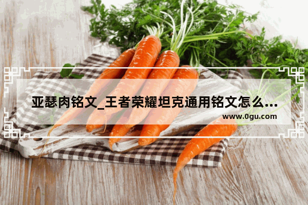 亚瑟肉铭文_王者荣耀坦克通用铭文怎么搭配 肉盾最强通用铭文搭配