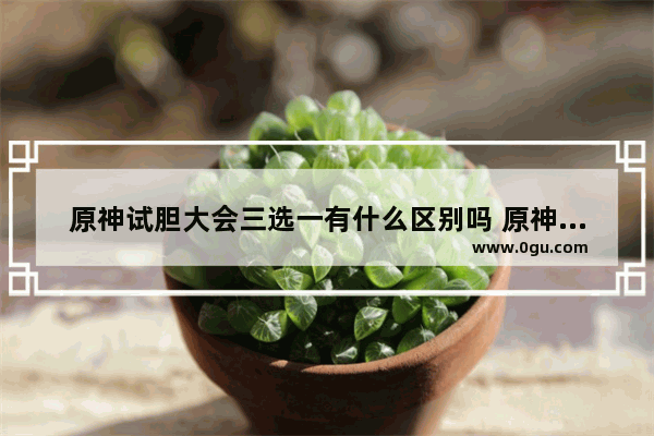 原神试胆大会三选一有什么区别吗 原神攻略试胆
