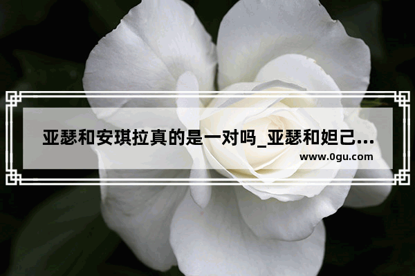 亚瑟和安琪拉真的是一对吗_亚瑟和妲己哪个厉害