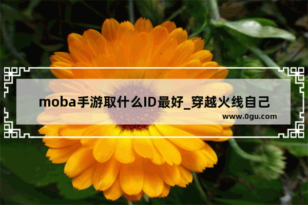 moba手游取什么ID最好_穿越火线自己的好友码怎么看