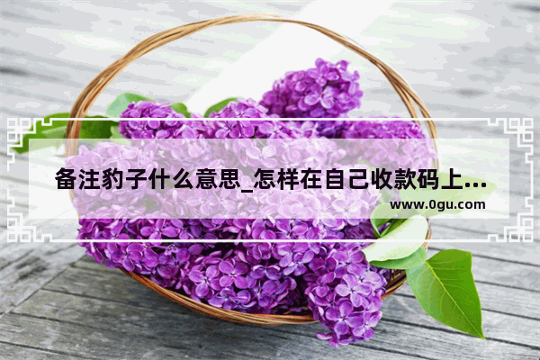 备注豹子什么意思_怎样在自己收款码上写备注