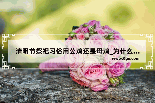 清明节祭祀习俗用公鸡还是母鸡_为什么公鸡深夜总打鸣是怎么回事
