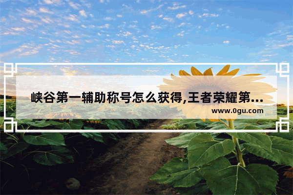 峡谷第一辅助称号怎么获得,王者荣耀第一辅助