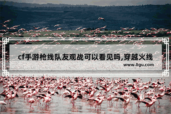 cf手游枪线队友观战可以看见吗,穿越火线能观战吗
