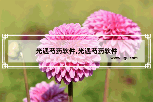 光遇芍药软件,光遇芍药软件
