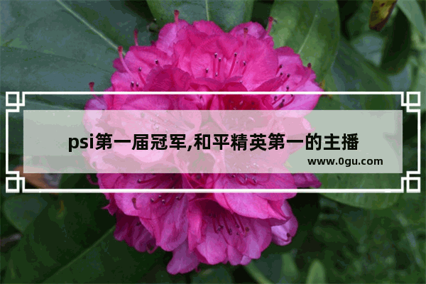 psi第一届冠军,和平精英第一的主播