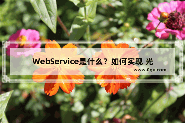 WebService是什么？如何实现 光遇URL链接