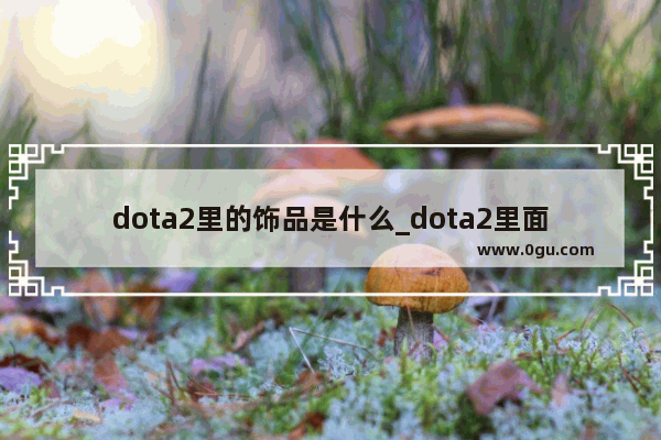 dota2里的饰品是什么_dota2里面的珍藏和符印有什么用