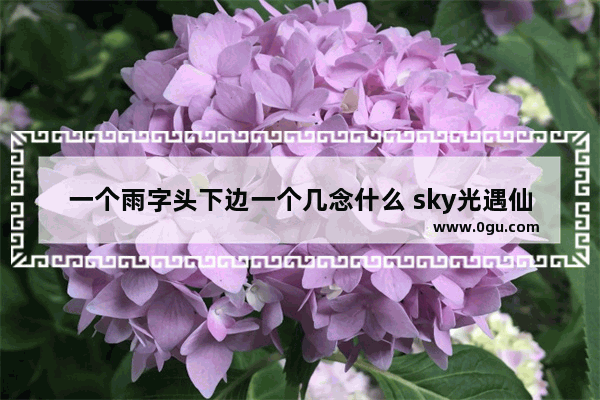 一个雨字头下边一个几念什么 sky光遇仙人