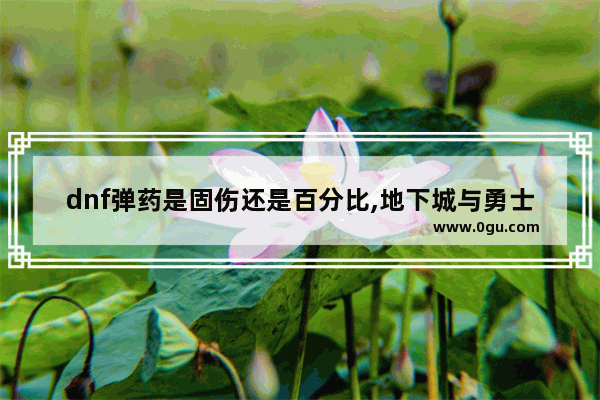 dnf弹药是固伤还是百分比,地下城与勇士里面固伤武器