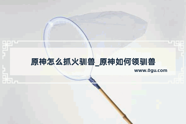原神怎么抓火驯兽_原神如何领驯兽