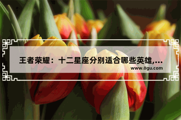 王者荣耀：十二星座分别适合哪些英雄,王者荣耀12星座