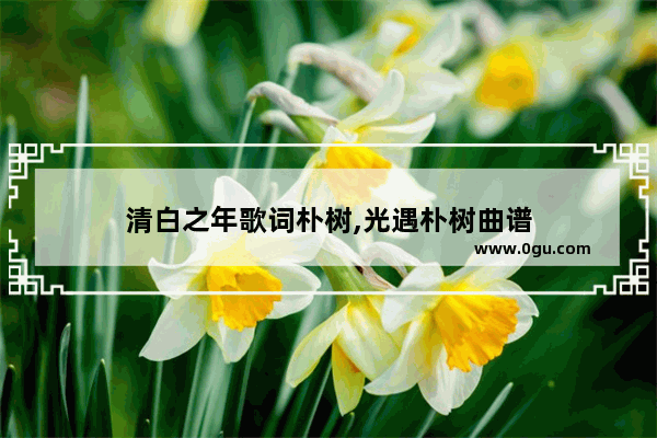 清白之年歌词朴树,光遇朴树曲谱