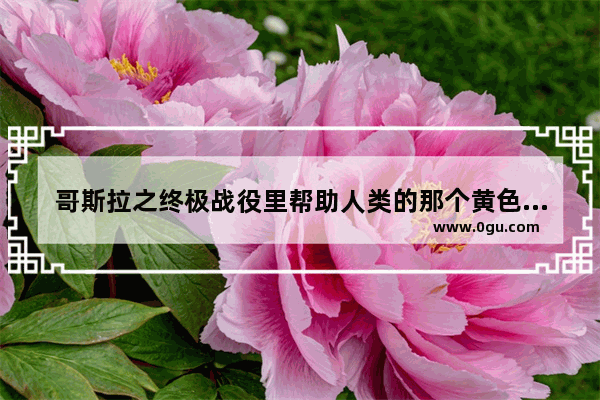 哥斯拉之终极战役里帮助人类的那个黄色蝴蝶叫什么,和平精英可斯拉怎么开