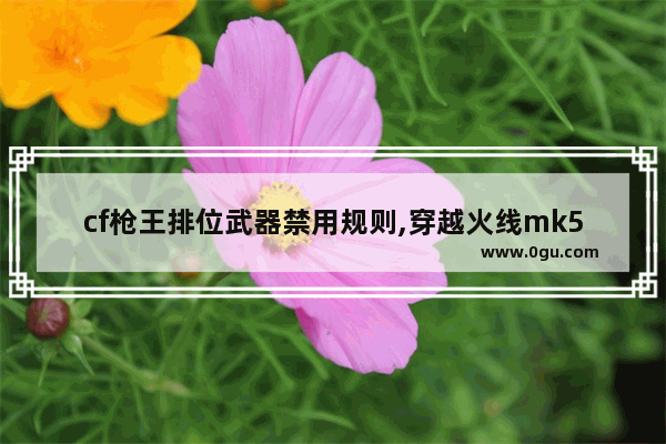 cf枪王排位武器禁用规则,穿越火线mk5ss
