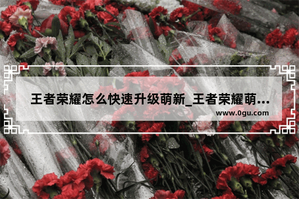 王者荣耀怎么快速升级萌新_王者荣耀萌新为什么不能发消息