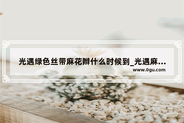 光遇绿色丝带麻花辫什么时候到_光遇麻花辫要多少蜡烛