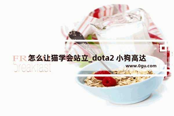 怎么让猫学会站立_dota2 小狗高达