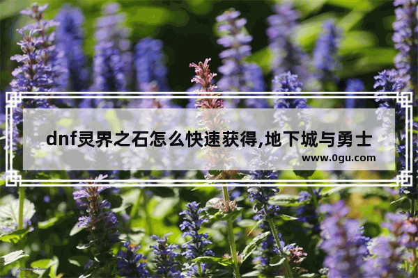 dnf灵界之石怎么快速获得,地下城与勇士德洛斯在哪