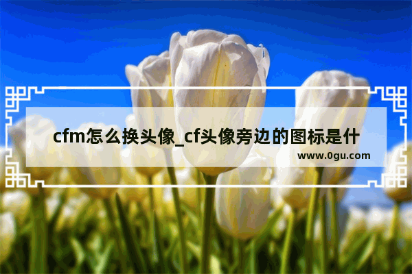 cfm怎么换头像_cf头像旁边的图标是什么
